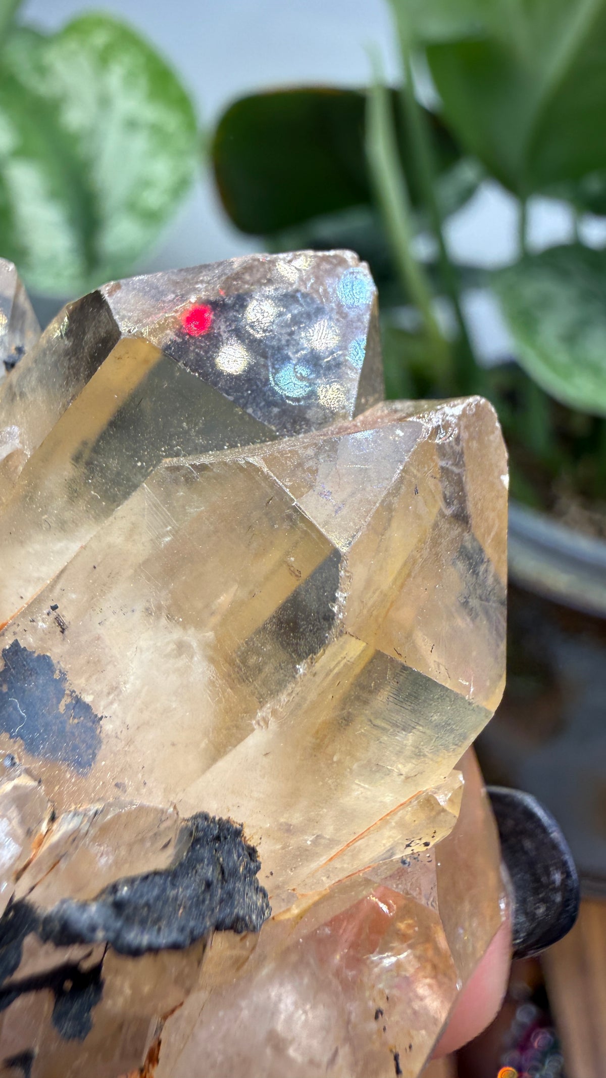 Citrine, var. Kundalini- Luena (Lwena), Democratic Republic of the Congo