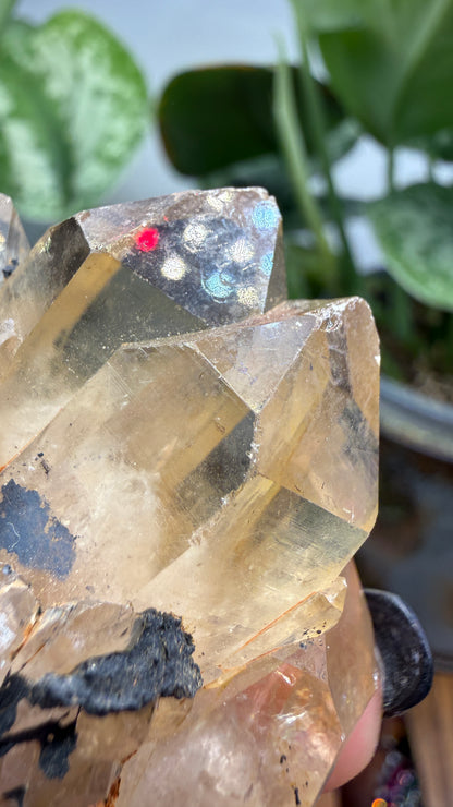 Citrine, var. Kundalini- Luena (Lwena), Democratic Republic of the Congo