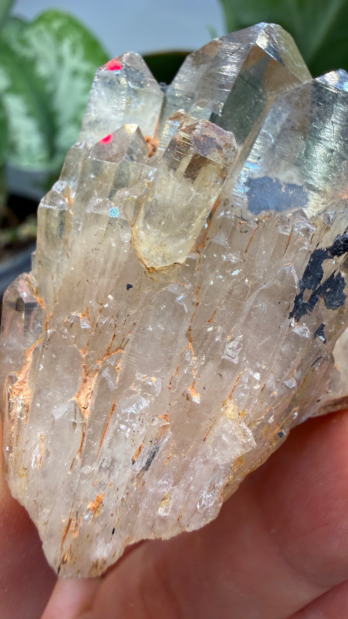 Citrine, var. Kundalini- Luena (Lwena), Democratic Republic of the Congo
