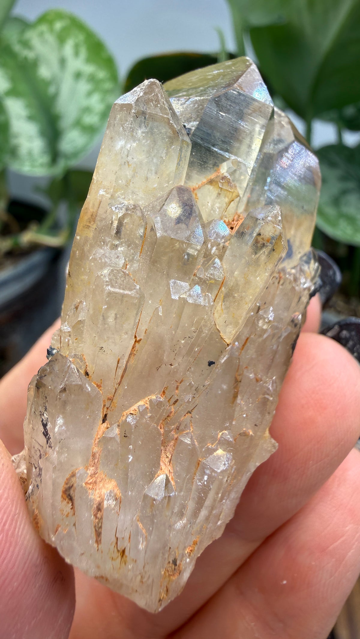 Citrine, var. Kundalini- Luena (Lwena), Democratic Republic of the Congo
