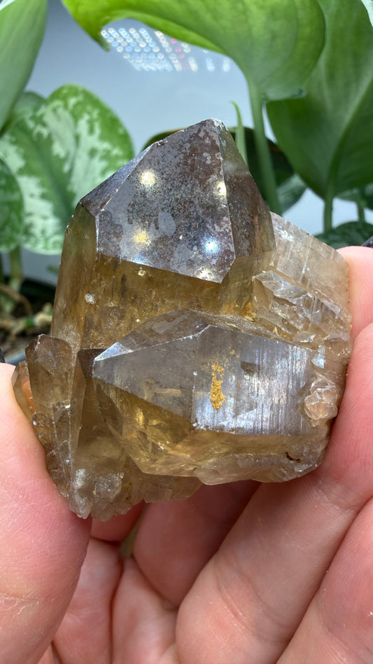 Citrine, var. Kundalini- Luena (Lwena), Democratic Republic of the Congo