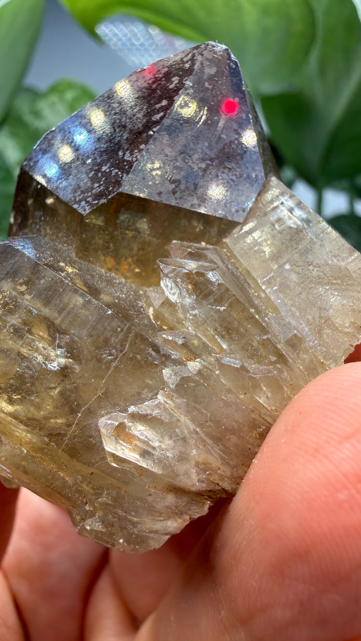 Citrine, var. Kundalini- Luena (Lwena), Democratic Republic of the Congo