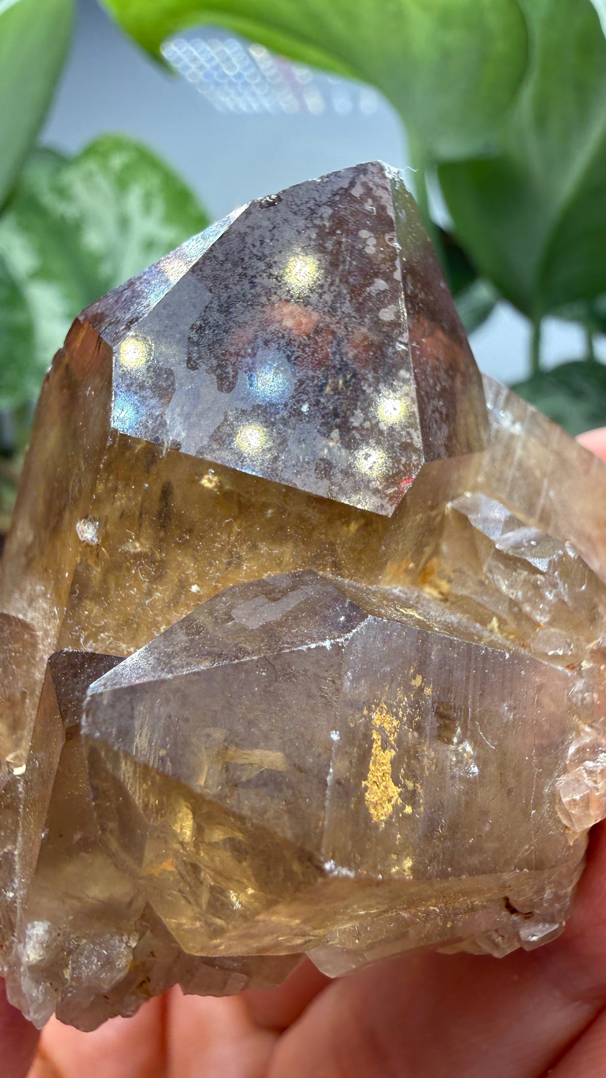 Citrine, var. Kundalini- Luena (Lwena), Democratic Republic of the Congo