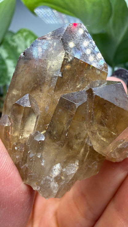 Citrine, var. Kundalini- Luena (Lwena), Democratic Republic of the Congo