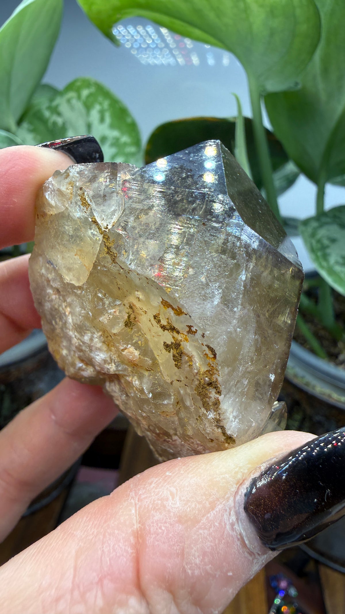 Citrine, var. Kundalini- Luena (Lwena), Democratic Republic of the Congo