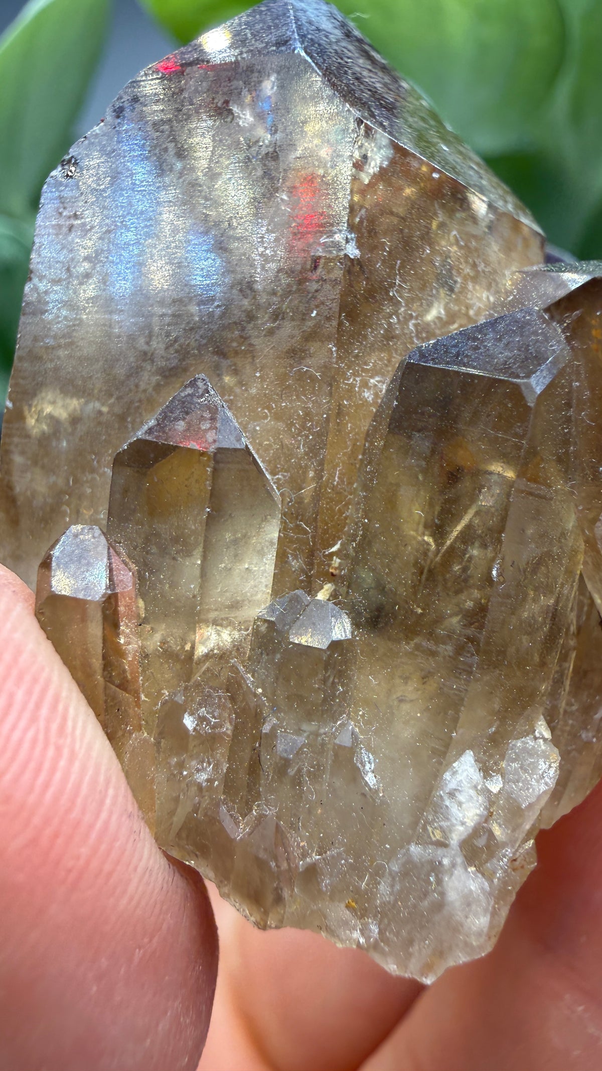 Citrine, var. Kundalini- Luena (Lwena), Democratic Republic of the Congo