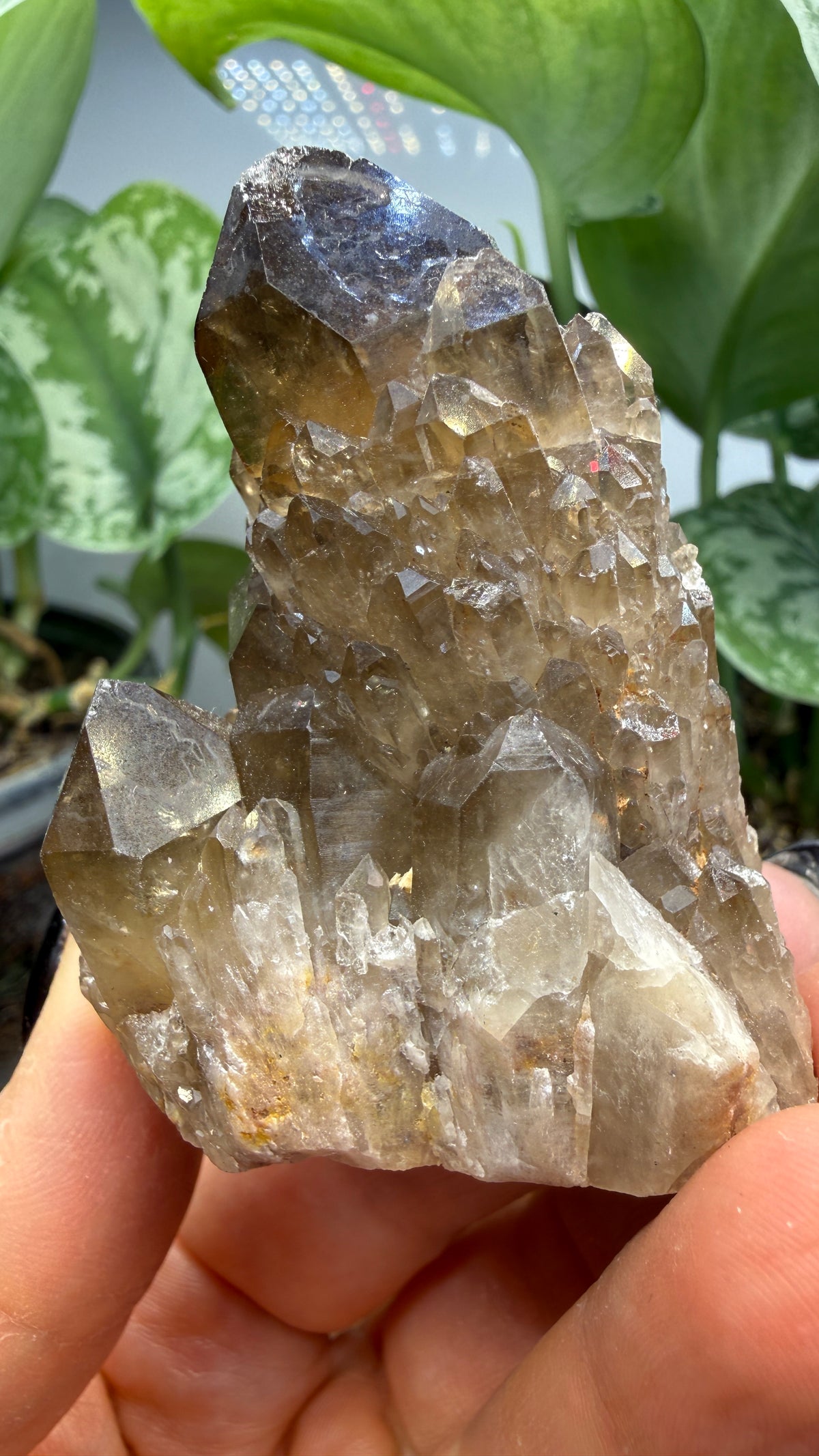 Citrine, var. Kundalini- Luena (Lwena), Democratic Republic of the Congo