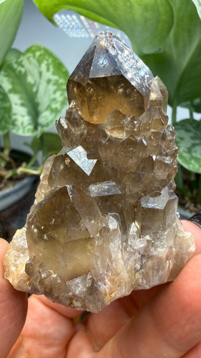 Citrine, var. Kundalini- Luena (Lwena), Democratic Republic of the Congo