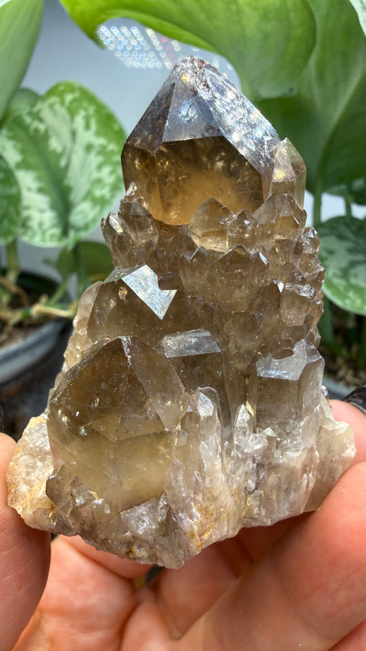 Citrine, var. Kundalini- Luena (Lwena), Democratic Republic of the Congo