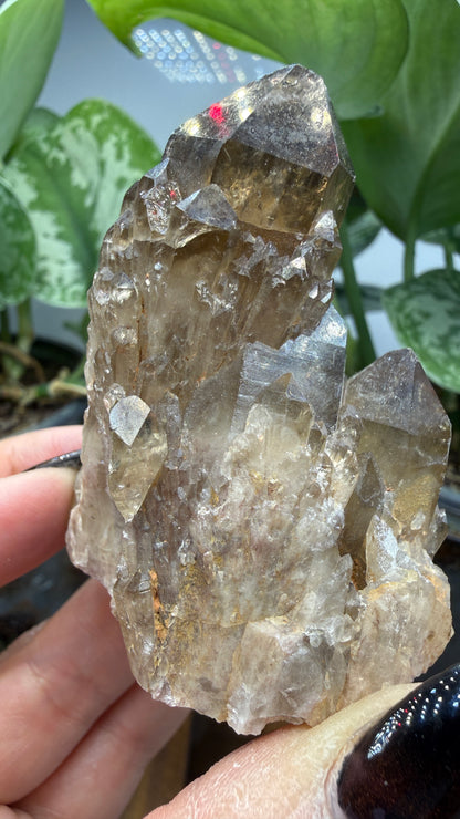 Citrine, var. Kundalini- Luena (Lwena), Democratic Republic of the Congo