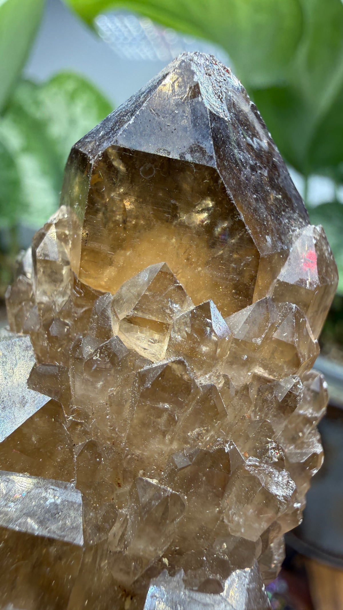 Citrine, var. Kundalini- Luena (Lwena), Democratic Republic of the Congo