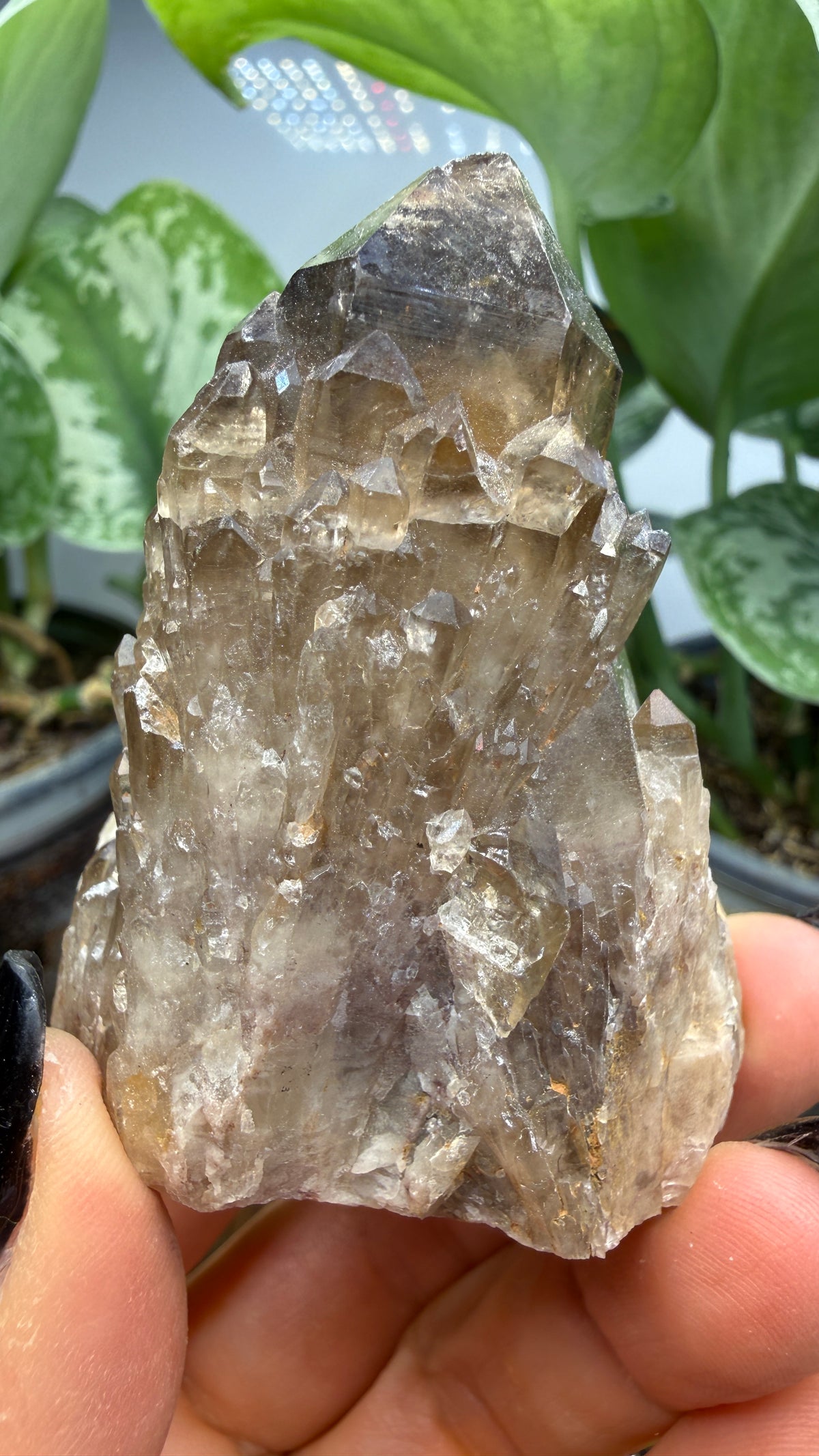 Citrine, var. Kundalini- Luena (Lwena), Democratic Republic of the Congo