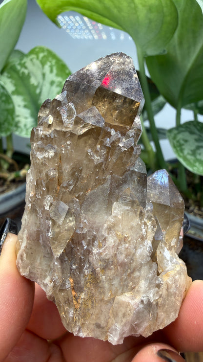 Citrine, var. Kundalini- Luena (Lwena), Democratic Republic of the Congo