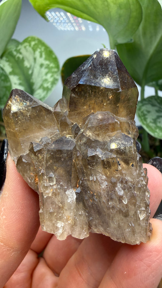 Citrine, var. Kundalini- Luena (Lwena), Democratic Republic of the Congo