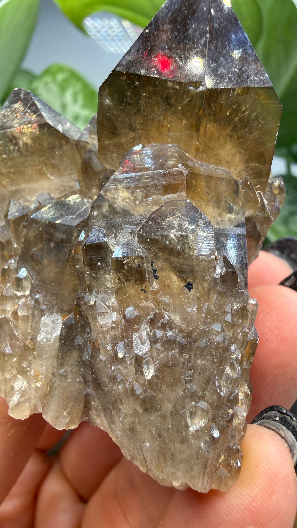 Citrine, var. Kundalini- Luena (Lwena), Democratic Republic of the Congo