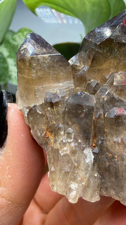 Citrine, var. Kundalini- Luena (Lwena), Democratic Republic of the Congo