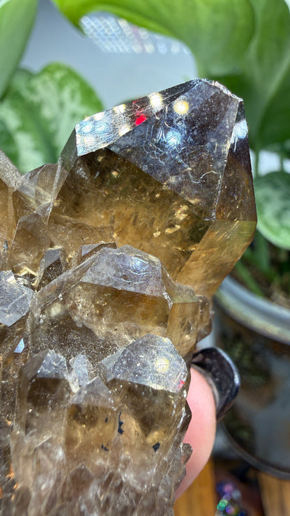 Citrine, var. Kundalini- Luena (Lwena), Democratic Republic of the Congo