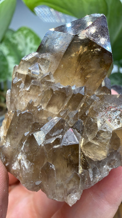 Citrine, var. Kundalini- Luena (Lwena), Democratic Republic of the Congo