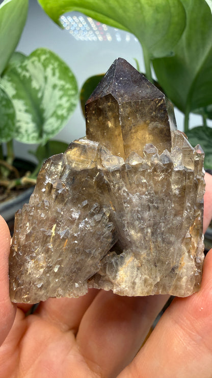 Citrine, var. Kundalini- Luena (Lwena), Democratic Republic of the Congo
