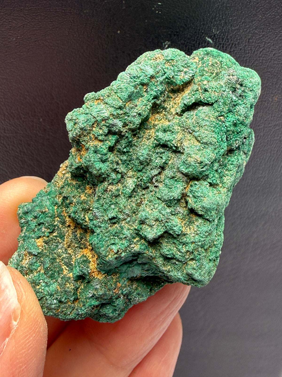 Atacamite- Ravensthorpe, Western Australia, Australia