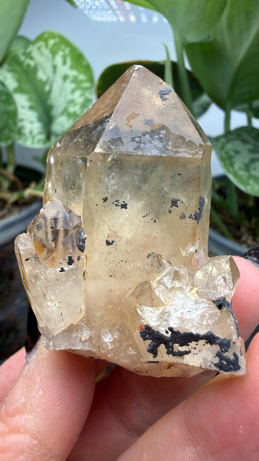 Citrine, var. Kundalini- Luena (Lwena), Democratic Republic of the Congo