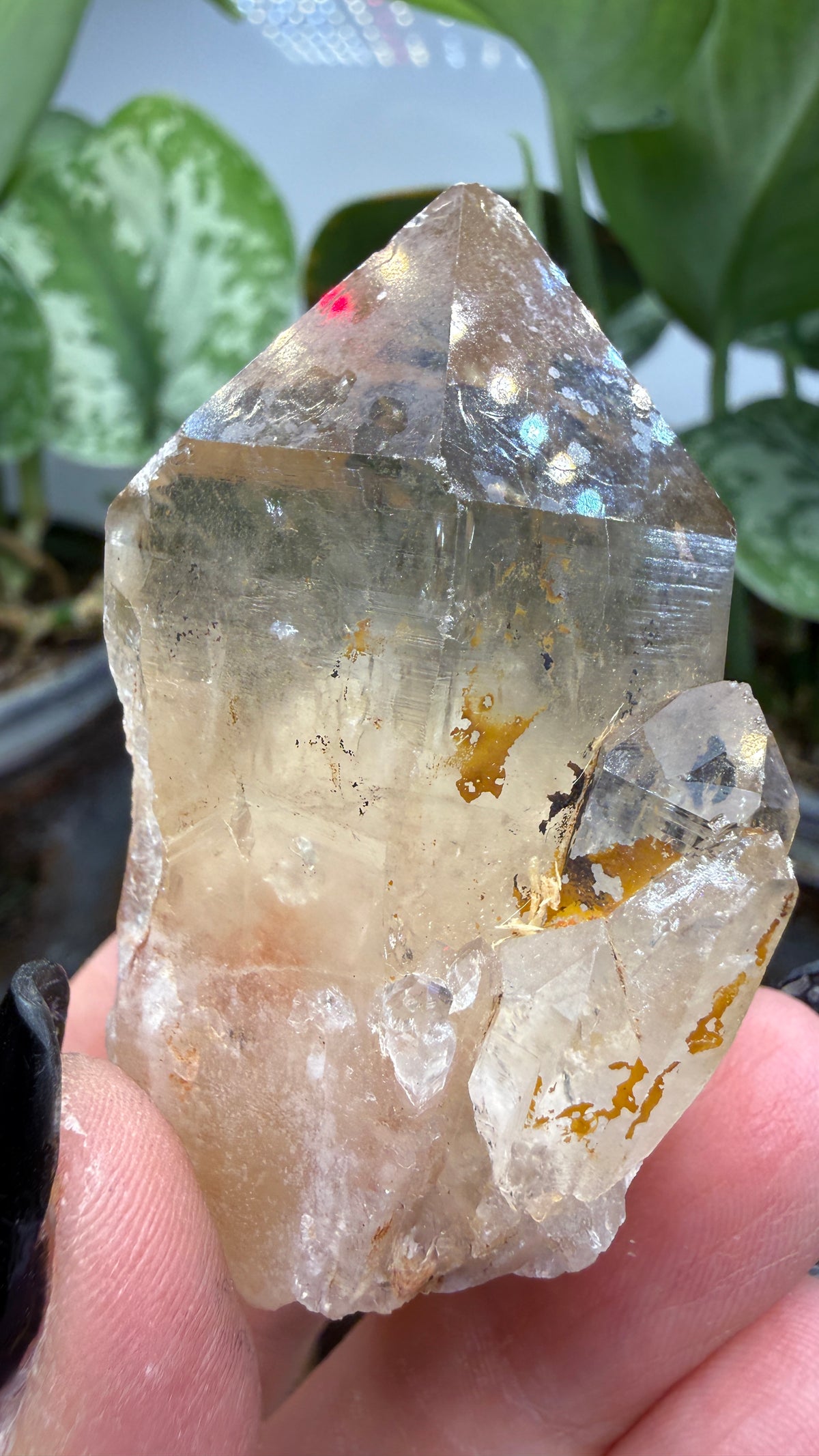 Citrine, var. Kundalini- Luena (Lwena), Democratic Republic of the Congo
