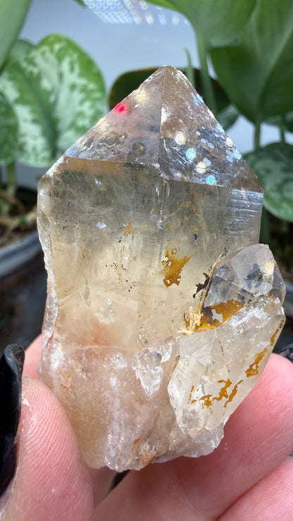 Citrine, var. Kundalini- Luena (Lwena), Democratic Republic of the Congo