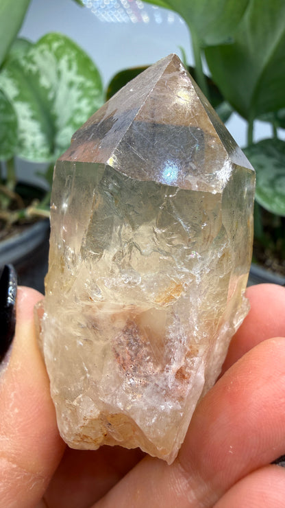 Citrine, var. Kundalini- Luena (Lwena), Democratic Republic of the Congo