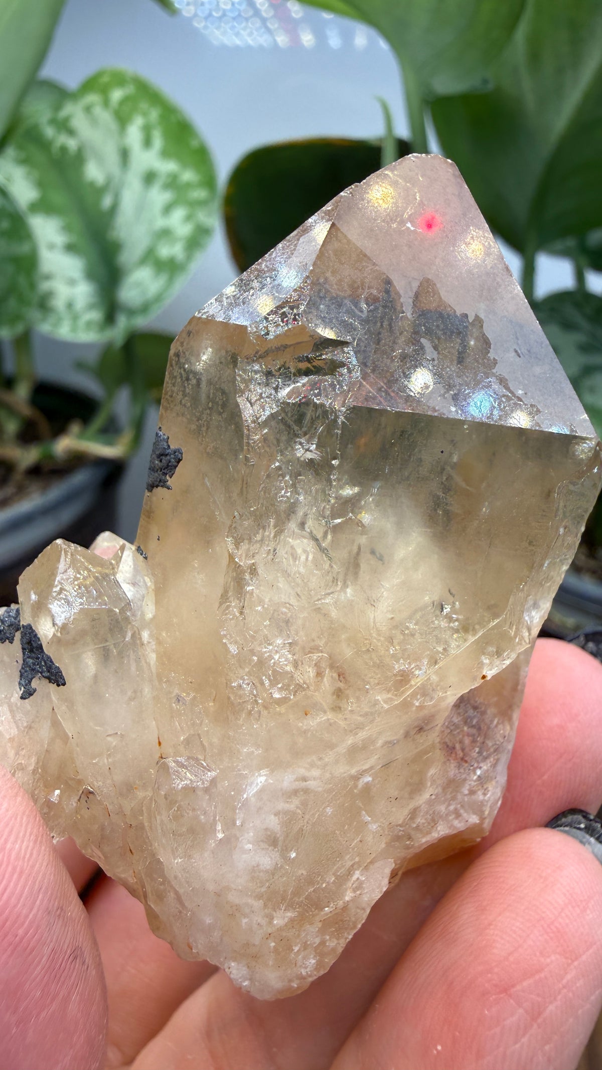 Citrine, var. Kundalini- Luena (Lwena), Democratic Republic of the Congo