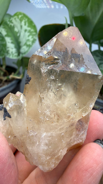 Citrine, var. Kundalini- Luena (Lwena), Democratic Republic of the Congo