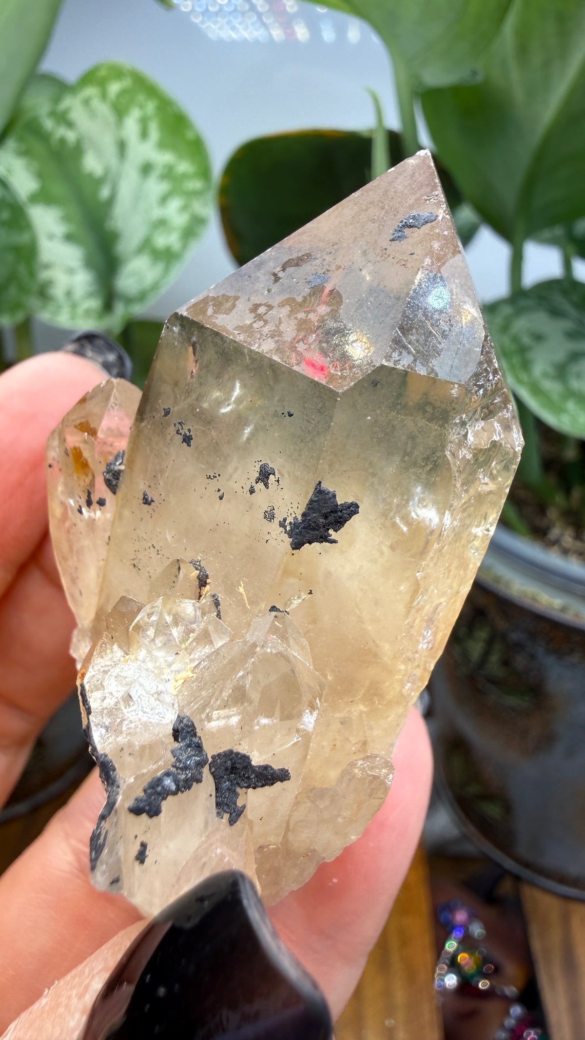 Citrine, var. Kundalini- Luena (Lwena), Democratic Republic of the Congo