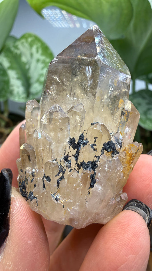 Citrine, var. Kundalini- Luena (Lwena), Democratic Republic of the Congo