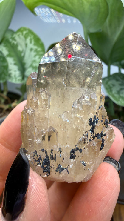 Citrine, var. Kundalini- Luena (Lwena), Democratic Republic of the Congo