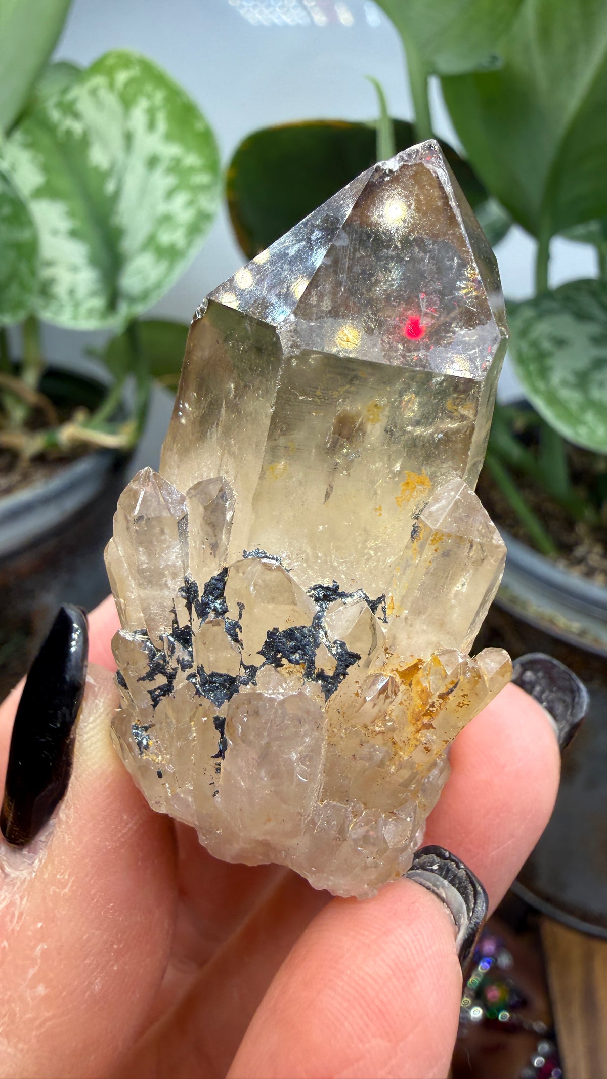 Citrine, var. Kundalini- Luena (Lwena), Democratic Republic of the Congo
