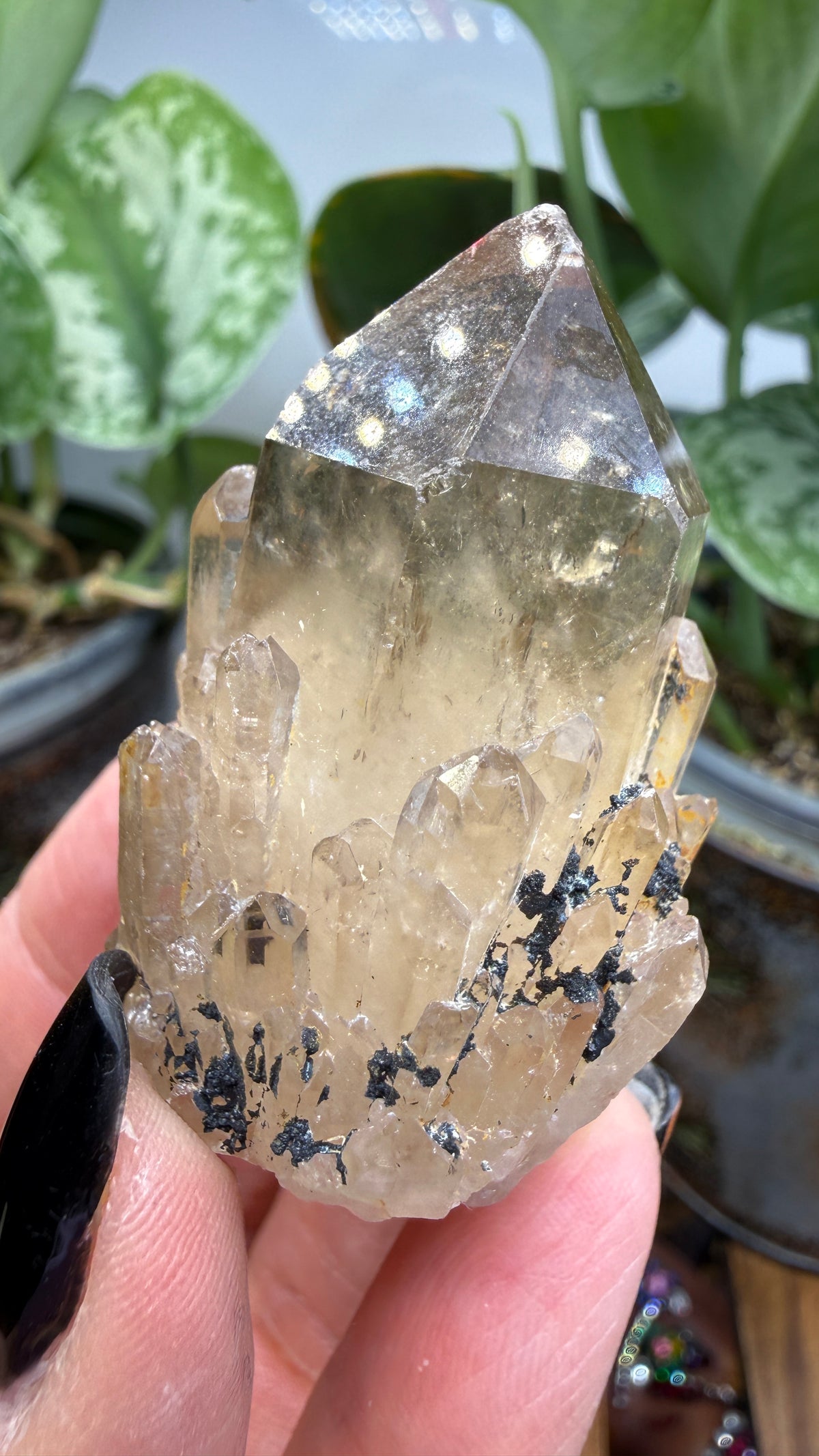 Citrine, var. Kundalini- Luena (Lwena), Democratic Republic of the Congo