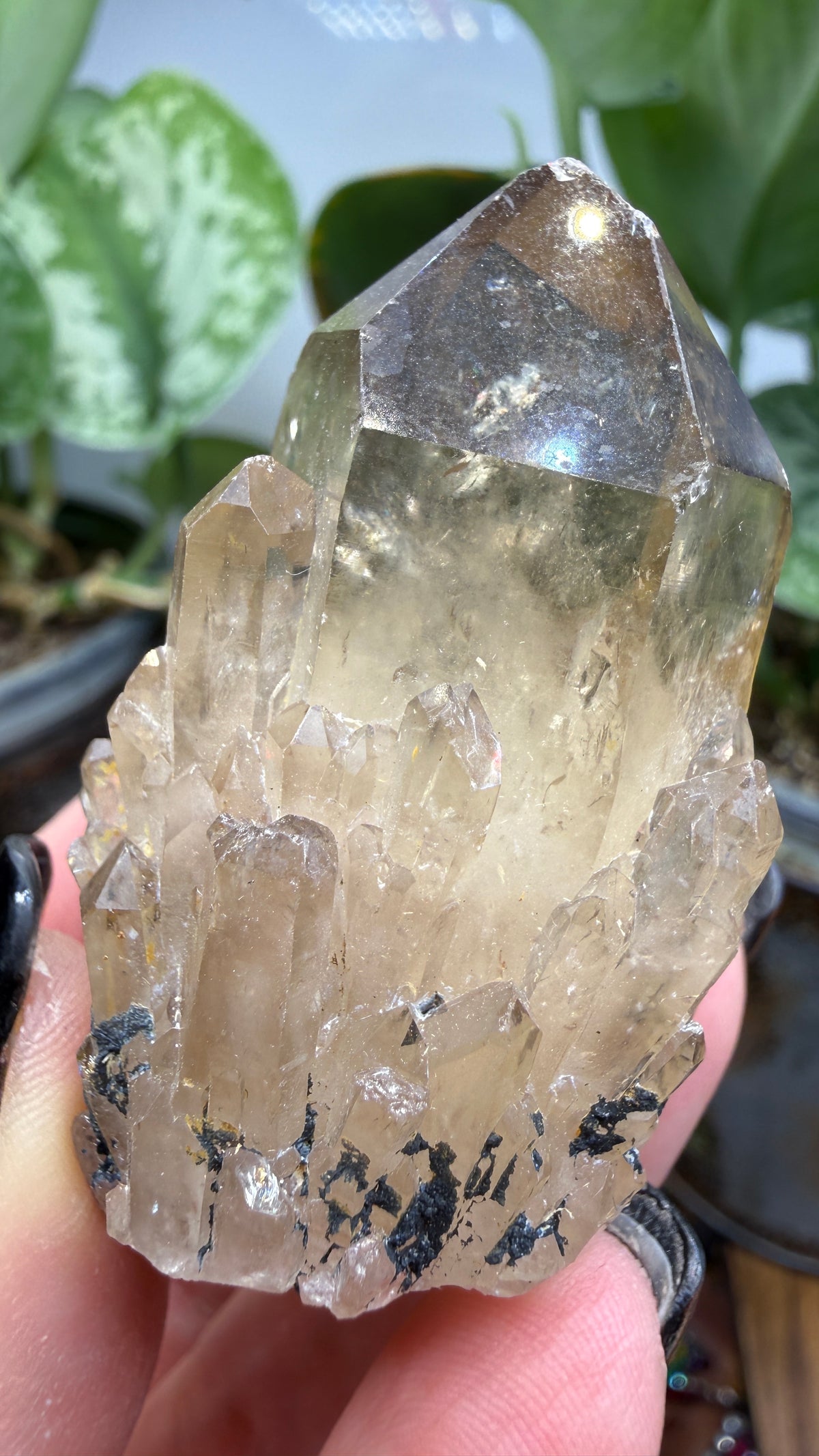 Citrine, var. Kundalini- Luena (Lwena), Democratic Republic of the Congo