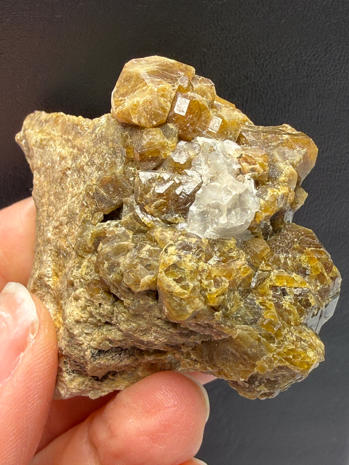 Vesuvianite (Idocrase)- Val di Fiemme, Trento Province, Trentino-Alto Adige, Italy