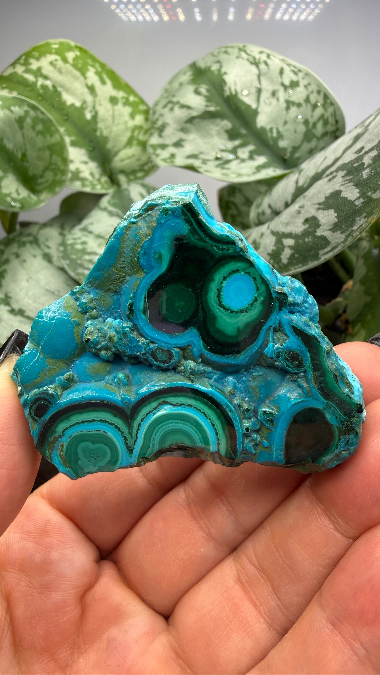 Malachite, Chrysocolla ("Malacholla")- Democratic Republic of the Congo (Slab)
