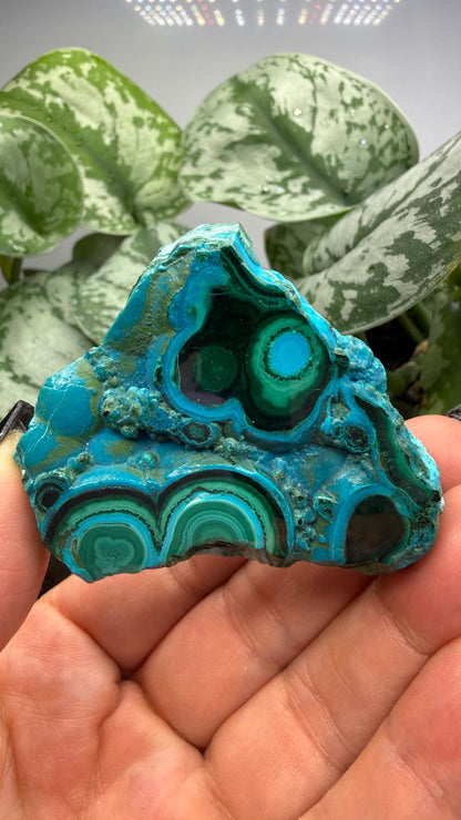 Malachite, Chrysocolla ("Malacholla")- Democratic Republic of the Congo (Slab)