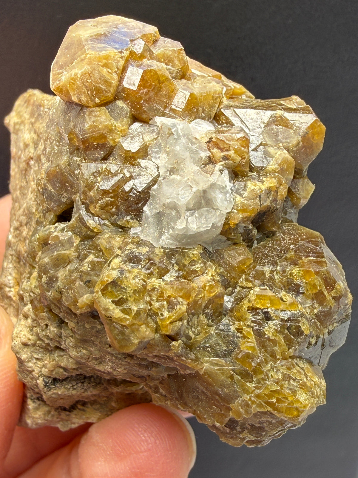 Vesuvianite (Idocrase)- Val di Fiemme, Trento Province, Trentino-Alto Adige, Italy