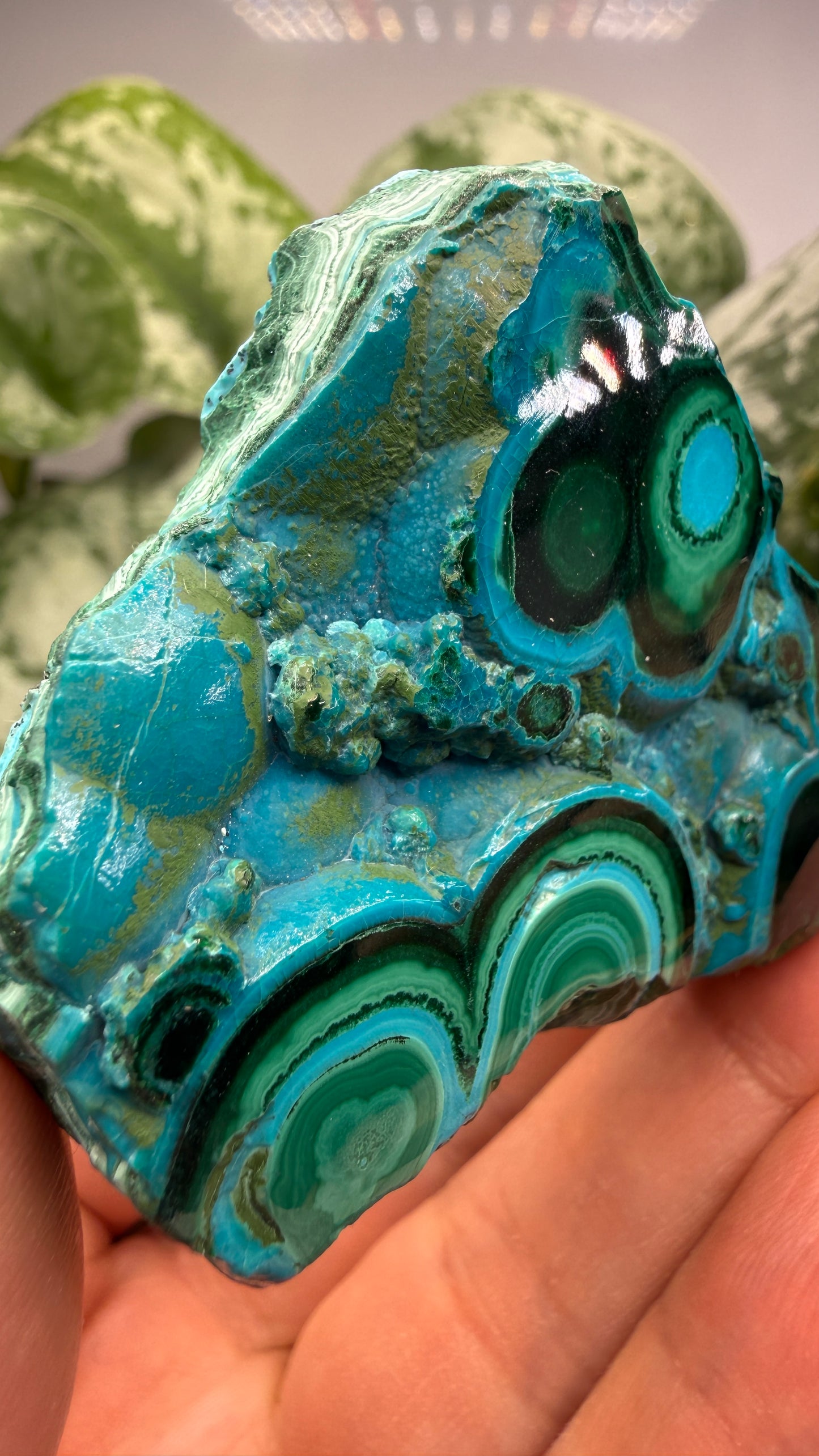 Malachite, Chrysocolla ("Malacholla")- Democratic Republic of the Congo (Slab)