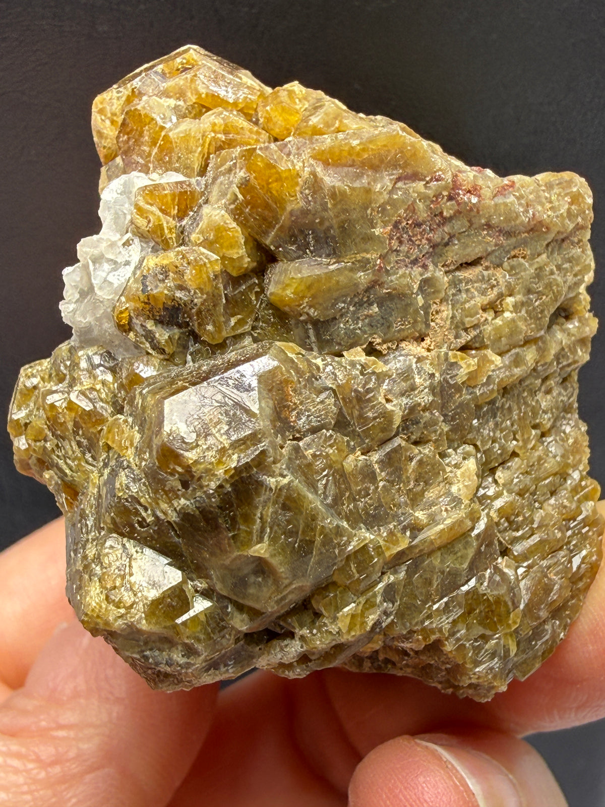 Vesuvianite (Idocrase)- Val di Fiemme, Trento Province, Trentino-Alto Adige, Italy