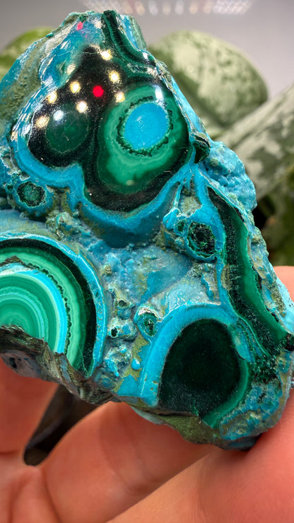 Malachite, Chrysocolla ("Malacholla")- Democratic Republic of the Congo (Slab)