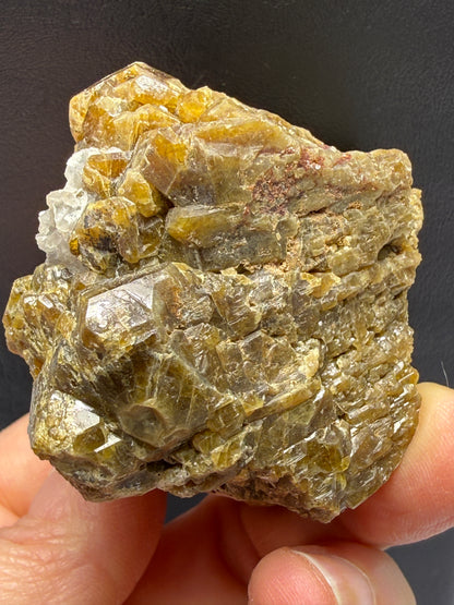 Vesuvianite (Idocrase)- Val di Fiemme, Trento Province, Trentino-Alto Adige, Italy