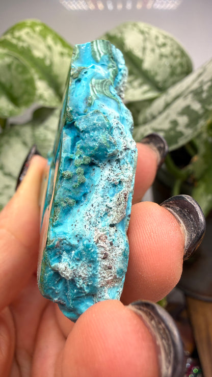 Malachite, Chrysocolla ("Malacholla")- Democratic Republic of the Congo (Slab)