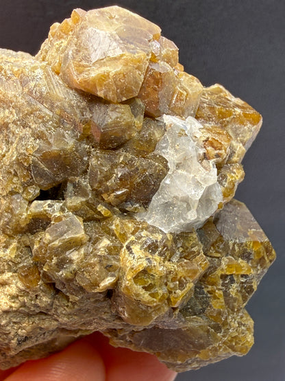 Vesuvianite (Idocrase)- Val di Fiemme, Trento Province, Trentino-Alto Adige, Italy