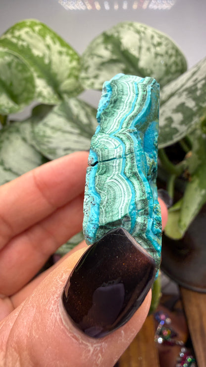 Malachite, Chrysocolla ("Malacholla")- Democratic Republic of the Congo (Slab)