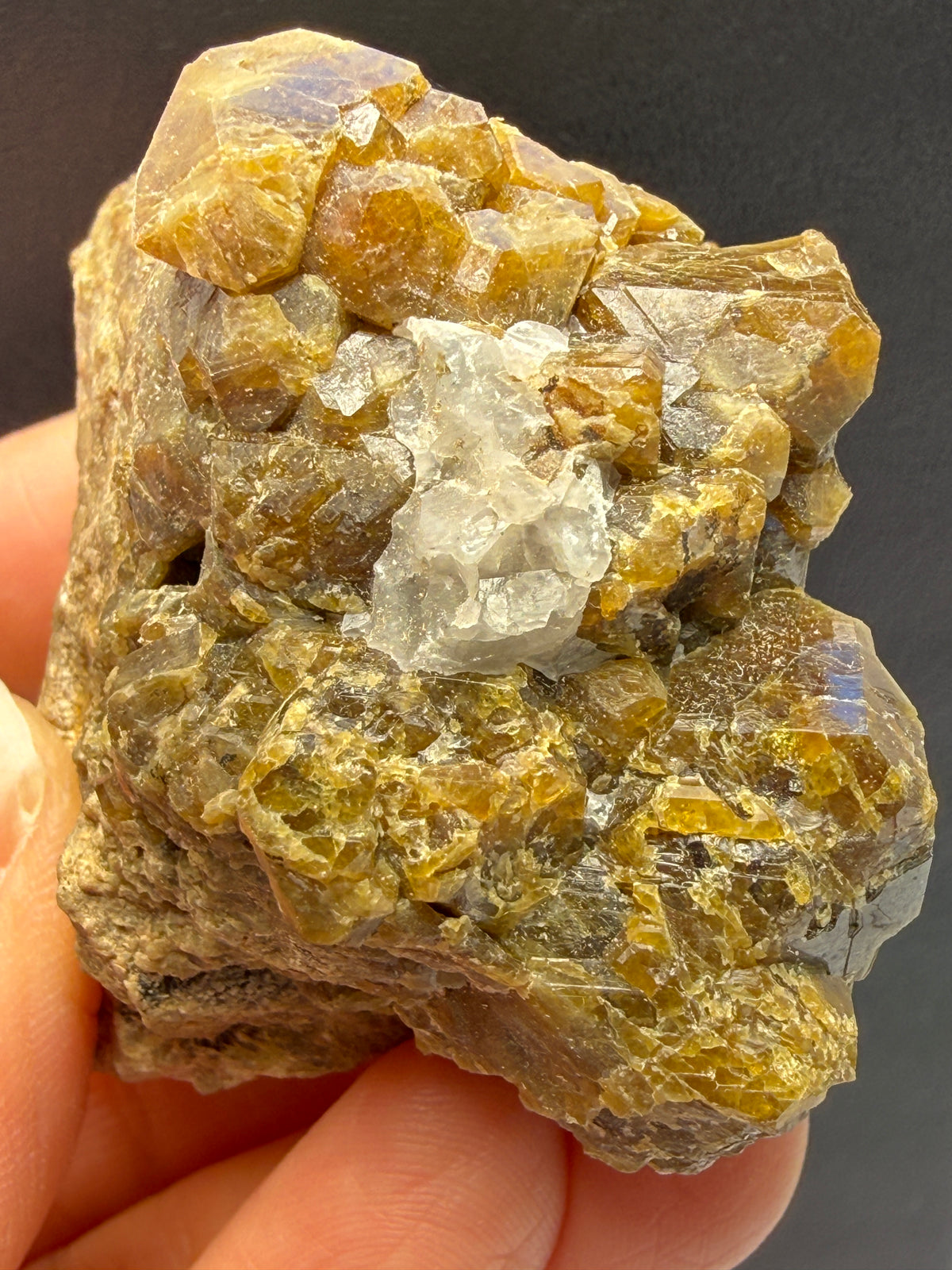 Vesuvianite (Idocrase)- Val di Fiemme, Trento Province, Trentino-Alto Adige, Italy