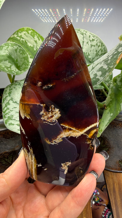 Amber Flame, polished- Indonesia