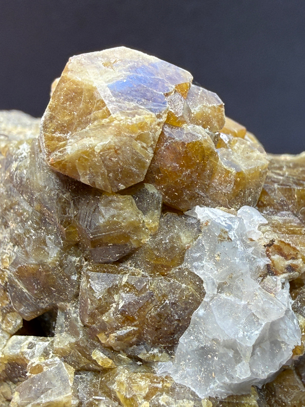 Vesuvianite (Idocrase)- Val di Fiemme, Trento Province, Trentino-Alto Adige, Italy